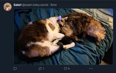Screenshot 2025-02-01 at 23-55-21 Salari (@salari.bsky.social) — Bluesky.png