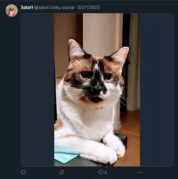 Screenshot 2025-02-02 at 00-00-49 Salari (@salari.bsky.social) — Bluesky.png