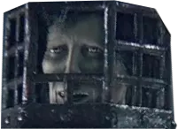 mikolash.png