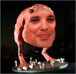 1738528244313.png