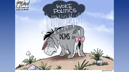 cartoon013025.webp