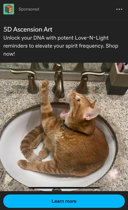 Screenshot_20250203_000704_Firefox.jpg