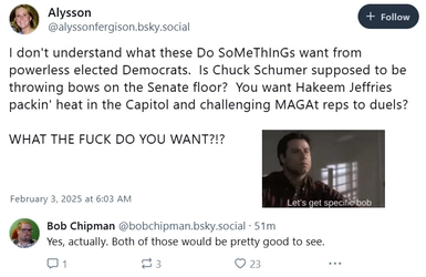 schumer2.jpg
