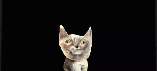 alone in a hallway....png