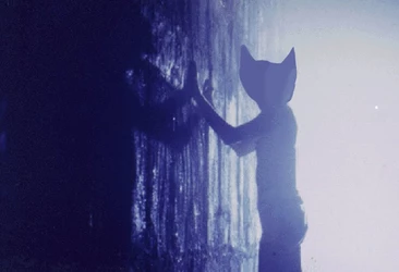 Another Cat In the Wall.jpg