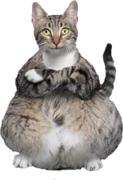 Chunguscat.png