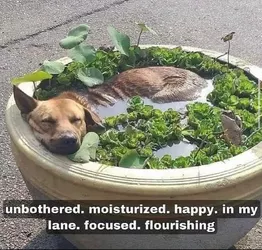 flourishing.jpg