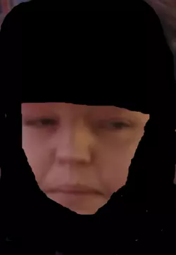 1738622064029.png