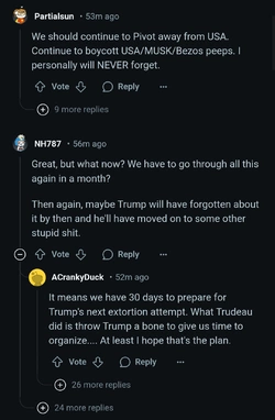 Screenshot_20250203_154405_Brave.jpg