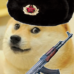 1738630577383.webp