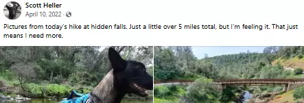1738638706118.png