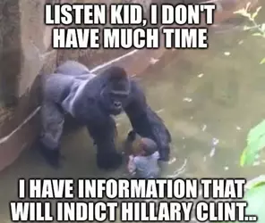 1730771278442.png
