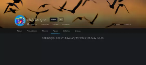 Screenshot 2025-02-03 at 22-58-10 nick beigler’s favorites Flickr.png