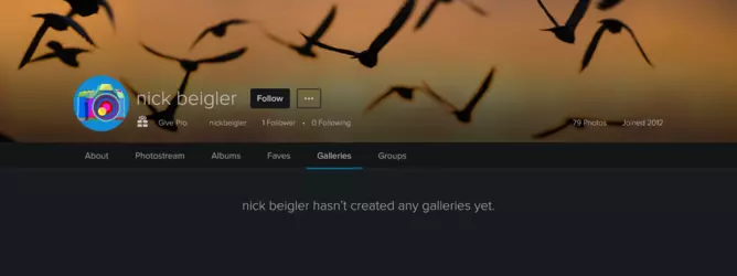 Screenshot 2025-02-03 at 22-58-16 nick beigler’s galleries Flickr.png