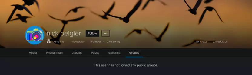 Screenshot 2025-02-03 at 22-58-23 nick beigler’s groups Flickr.png