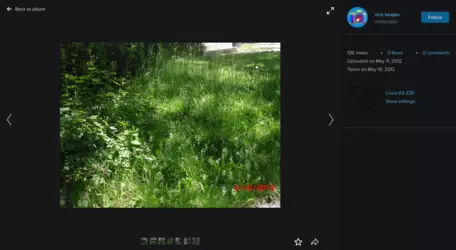 Screenshot 2025-02-03 at 23-06-41 Untitled nick beigler Flickr.png