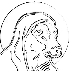 ezgif-1-247d66e217.gif