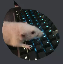 1738665071658.png