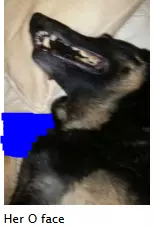 1738701559299.png