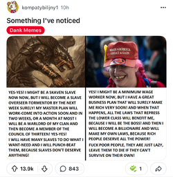 IMG_4782.jpeg