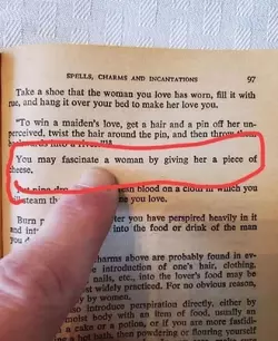 you-may-fascinate-a-woman-by-giving-her-a-piece-of-cheese-v0-2axxxprg18hc1.webp