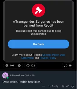 1738765173758.jpeg
