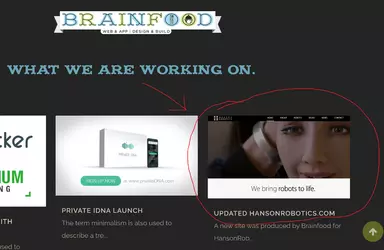 Brainfood/Hanson Robotics connection