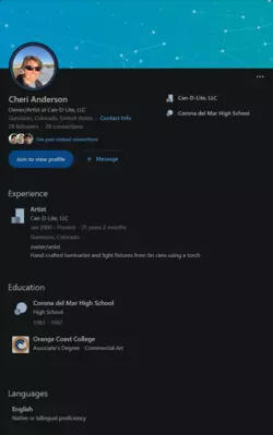 Screenshot 2025-02-06 at 16-56-36 Cheri Anderson - Artist - Can-D-Lite LLC LinkedIn.png