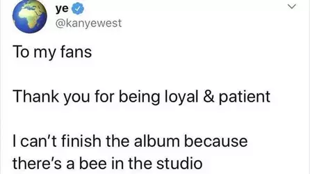 A fucking bee.jpeg