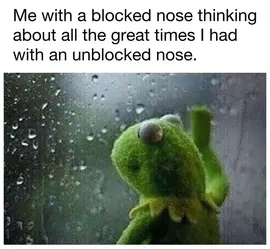 1738965690728.png
