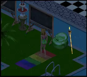 34. Flag Towel.png