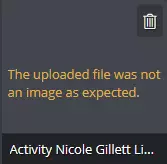 1738984986413.png