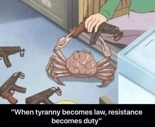 1544997456858.jpg