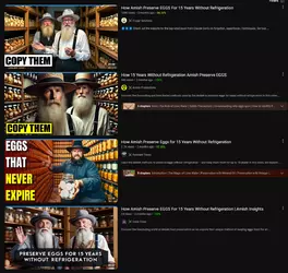 1739028249863.png