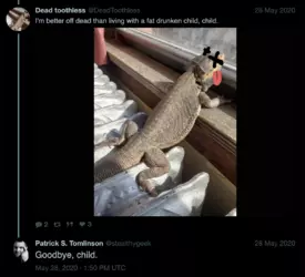 ToothlessButLegal.png