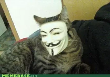 1739034664720.png