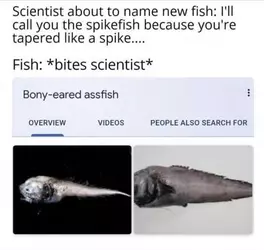 c.jpg