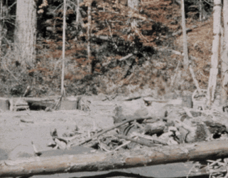 A5EA35ED-9F37-4263-93C1-5AFF33A712AA.gif