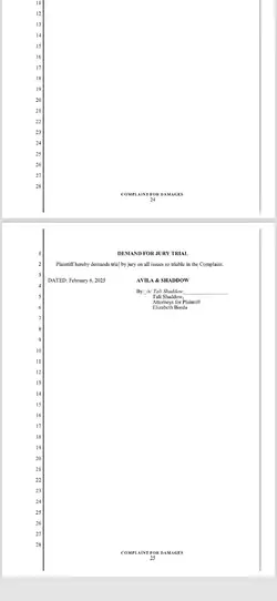 tf-ethan-and-hila-named-defendants-part-2-v0-yyr4ggsemzhe1.jpg