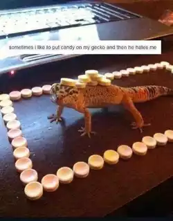 20240901_212218.jpeg