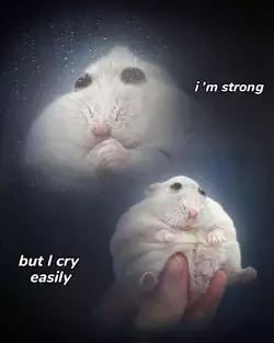 hampter.jpeg