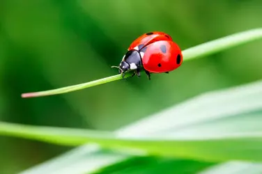 AdobeStock_184679416-1400x933.jpeg