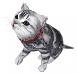 CatJeane.webp