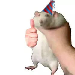 rat thumbs up.jpg