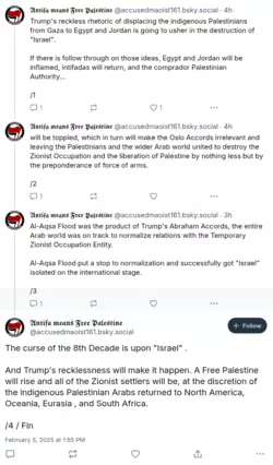 screencapture-bsky-app-profile-accusedmaoist161-bsky-social-post-3lhhe36vgfc2n-2025-02-05-17_4...png