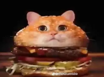 burger cat.jpg