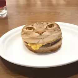 burger cat 2.jpg