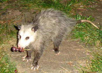 20250209_111932.jpg