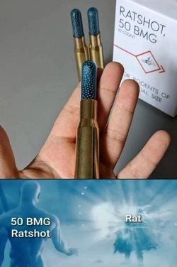 1000010732.jpg