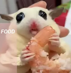 food!.png